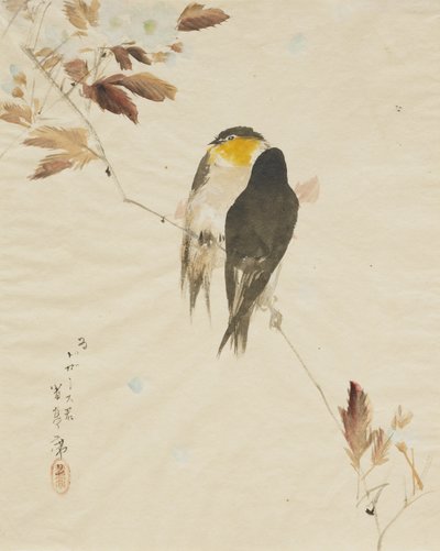 Oiseaux sur une branche, 1871-1917 - Watanabe Seitei