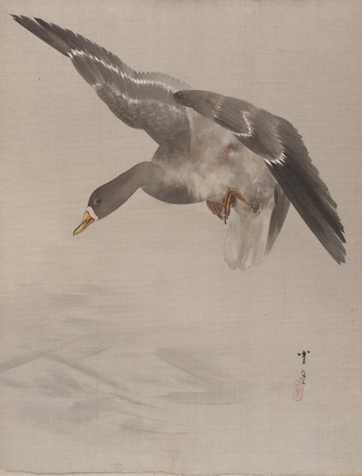 Canard, vers 1887 - Watanabe Seitei