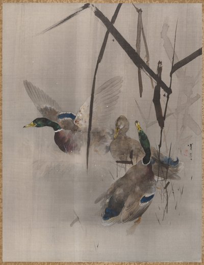 Canards dans les joncs, vers 1887 - Watanabe Seitei