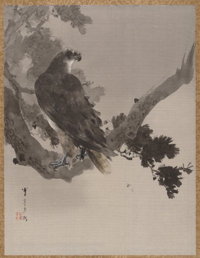 Aigle dans un arbre, vers 1887 - Watanabe Seitei