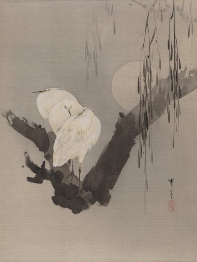 Aigrettes dans un arbre la nuit, vers 1887 - Watanabe Seitei