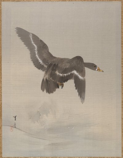 Oie volante, vers 1887 - Watanabe Seitei