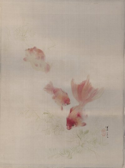 Poissons rouges, vers 1887 - Watanabe Seitei