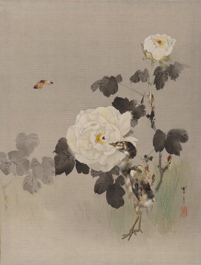 Roses, Jeune Oiseau et un Papillon, vers 1887 - Watanabe Seitei