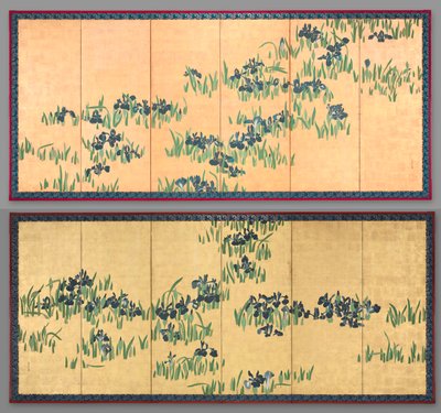 Iris - Watanabe Shiko