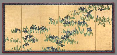 Iris - Watanabe Shiko