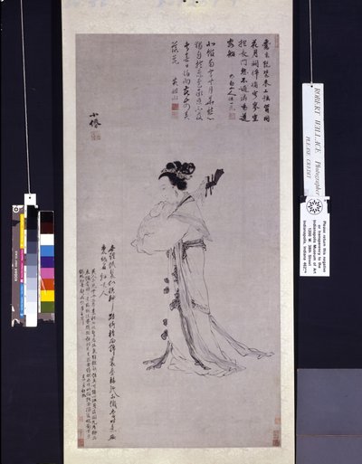 Dame avec un luth - Wei Wu