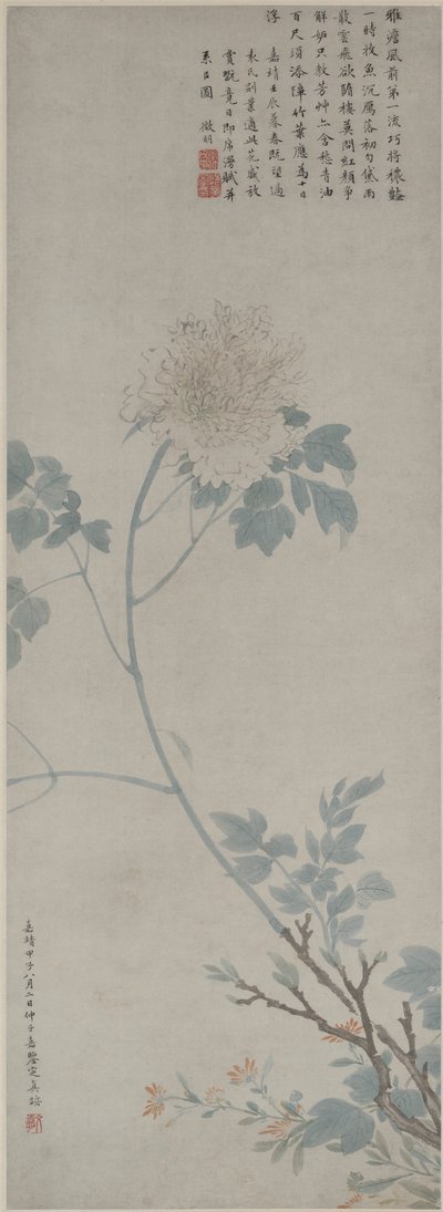 Pivoine - Wen Zhengming