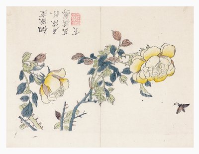 Jardin de graines de moutarde - Wen shu Chao