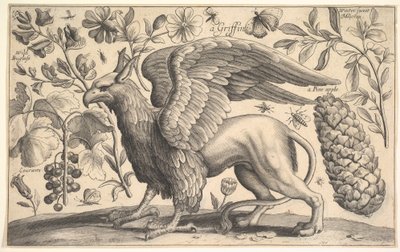 Un griffon, 1625-77 - Wenceslaus Hollar