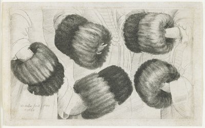 Une moufle en cinq vues, 1645-1646 - Wenceslaus Hollar