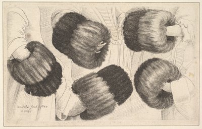 Une moufle en cinq vues, 1645-46 - Wenceslaus Hollar