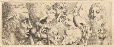 Une variété de têtes, 1625-77 - Wenceslaus Hollar