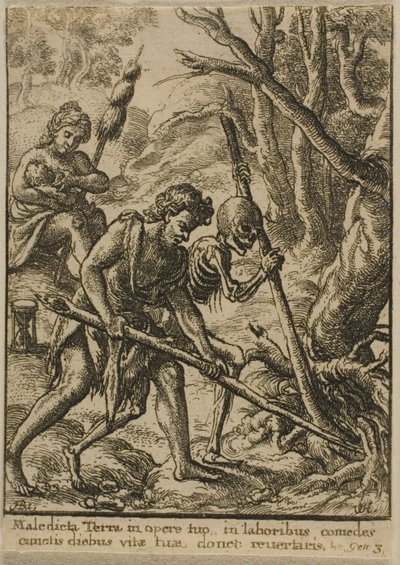 Adam labourant - Wenceslaus Hollar