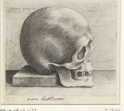 Étude anatomique d