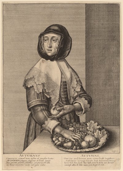 Automne - Wenceslaus Hollar