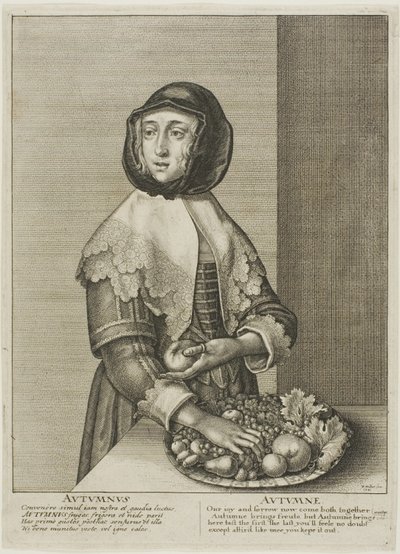 Automne - Wenceslaus Hollar