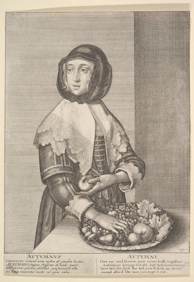 Automne - Automne Trois-quarts de longueur des saisons, 1641 - Wenceslaus Hollar