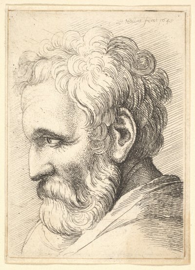 Vieil homme barbu, 1645 - Wenceslaus Hollar