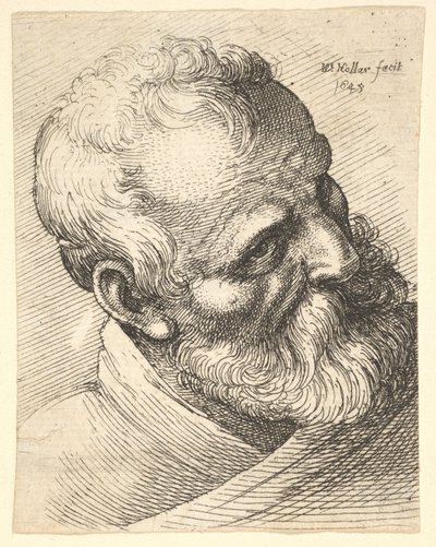 Vieil homme barbu avec la tête inclinée, 1645 - Wenceslaus Hollar