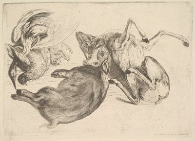 Sanglier, cerf, héron et autres gibiers - Wenceslaus Hollar