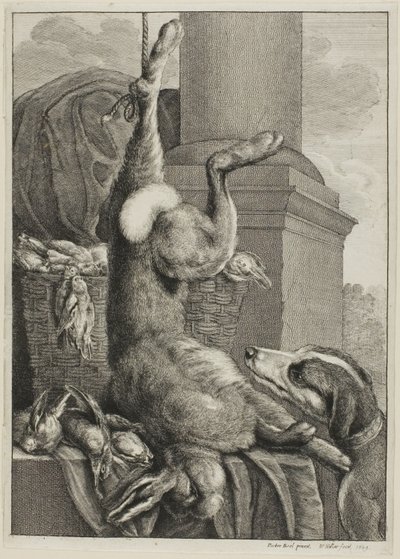Lièvre mort - Wenceslaus Hollar