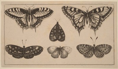  - Wenceslaus Hollar
