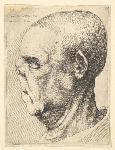 Vieil homme grotesque avec nez aplati de profil à gauche - Wenceslaus Hollar