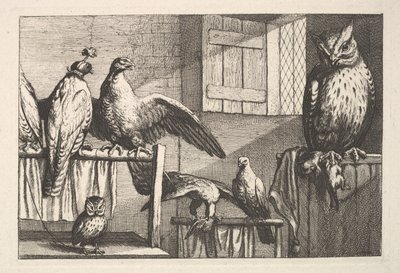 Faucons et hiboux, 1625-77 - Wenceslaus Hollar