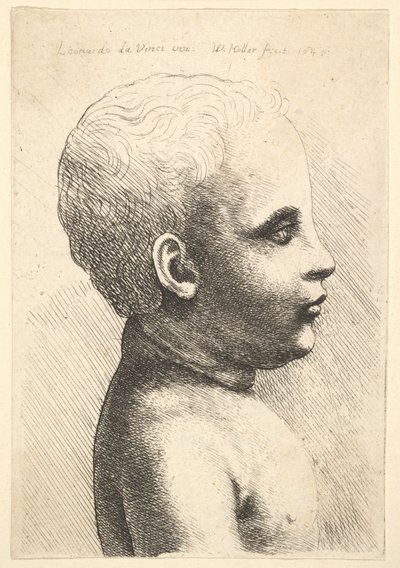 Tête et épaule d