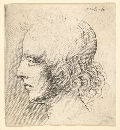 - Wenceslaus Hollar