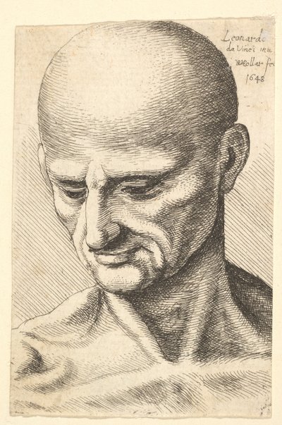 Tête d