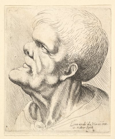 Tête d