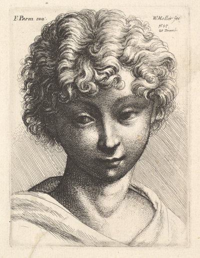 Tête d