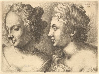 Têtes de deux jeunes femmes - Wenceslaus Hollar