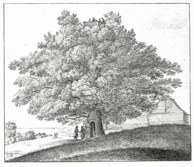 Arbre creux à Hampstead, 1663 - Wenceslaus Hollar