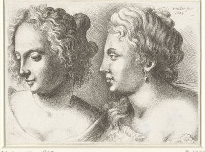 Têtes de deux jeunes femmes - Wenceslaus Hollar