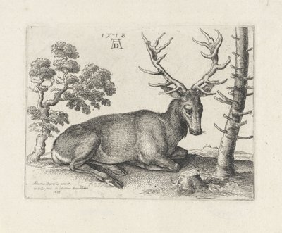 Cerf couché, vers la droite - Wenceslaus Hollar