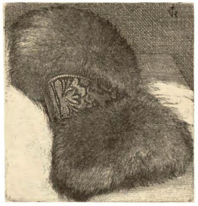 Manchon avec une bande de brocart - Wenceslaus Hollar