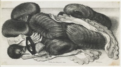 Manchons et articles de vêtements sur une table, 1647 - Wenceslaus Hollar