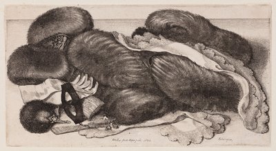  - Wenceslaus Hollar