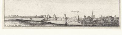 Paysage fluvial avec vue sur Strasbourg
Vues fluviales en Allemagne et dans les Pays-Bas (titre de la série) - Wenceslaus Hollar