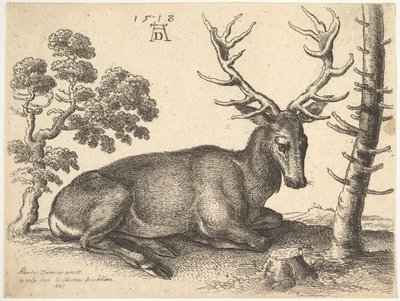 Cerf couché à droite - Wenceslaus Hollar