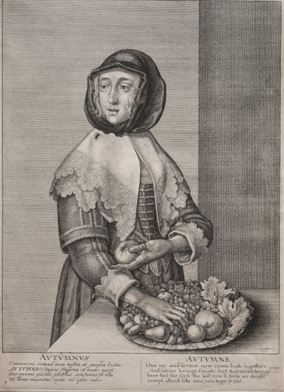 Les Quatre Saisons : Automne - Wenceslaus Hollar