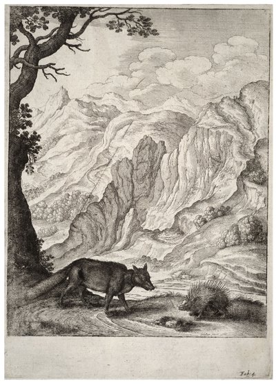 Le renard et le porc-épic - Wenceslaus Hollar