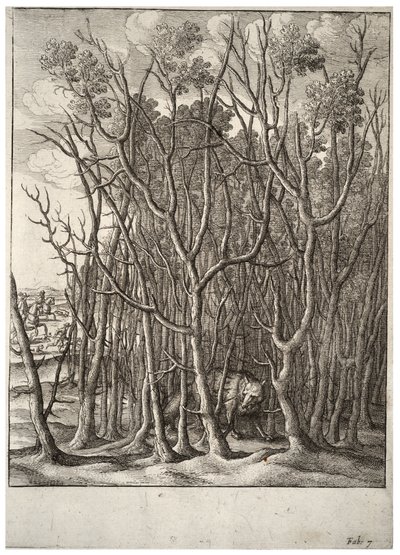 Le renard et le buisson d