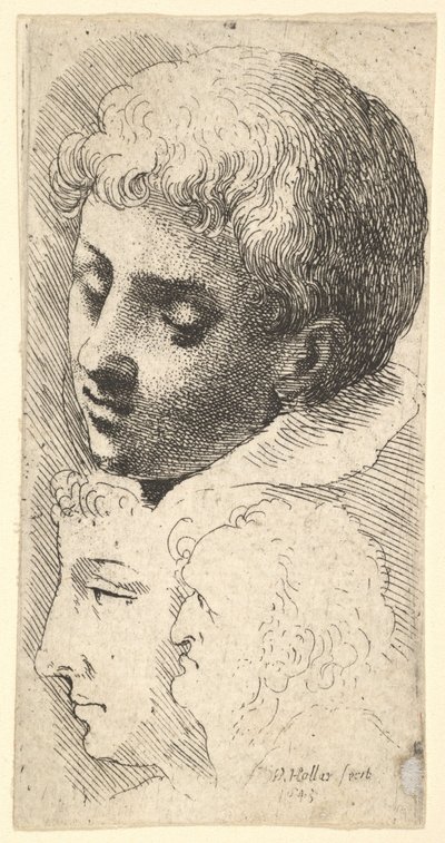 Trois têtes, 1645 - Wenceslaus Hollar