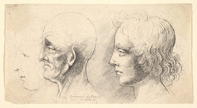Trois têtes de profil, une seule en contour, 1625-77 - Wenceslaus Hollar
