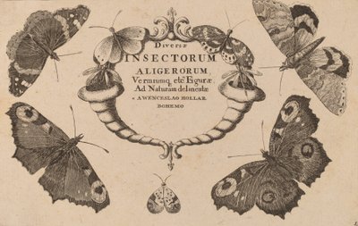 Page de titre - Wenceslaus Hollar
