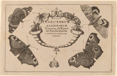 Page de titre - Wenceslaus Hollar